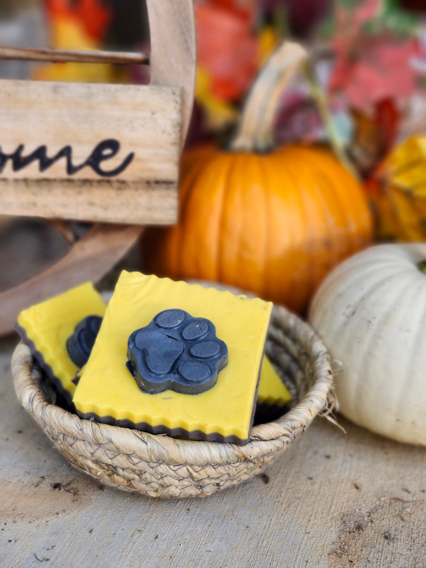 Hocus Pocus Bar Soap I Goats Milk I Halloween I Limited Edition I Viral Soap