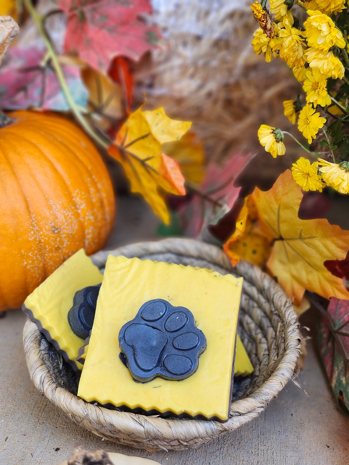 Hocus Pocus Bar Soap I Goats Milk I Halloween I Limited Edition I Viral Soap