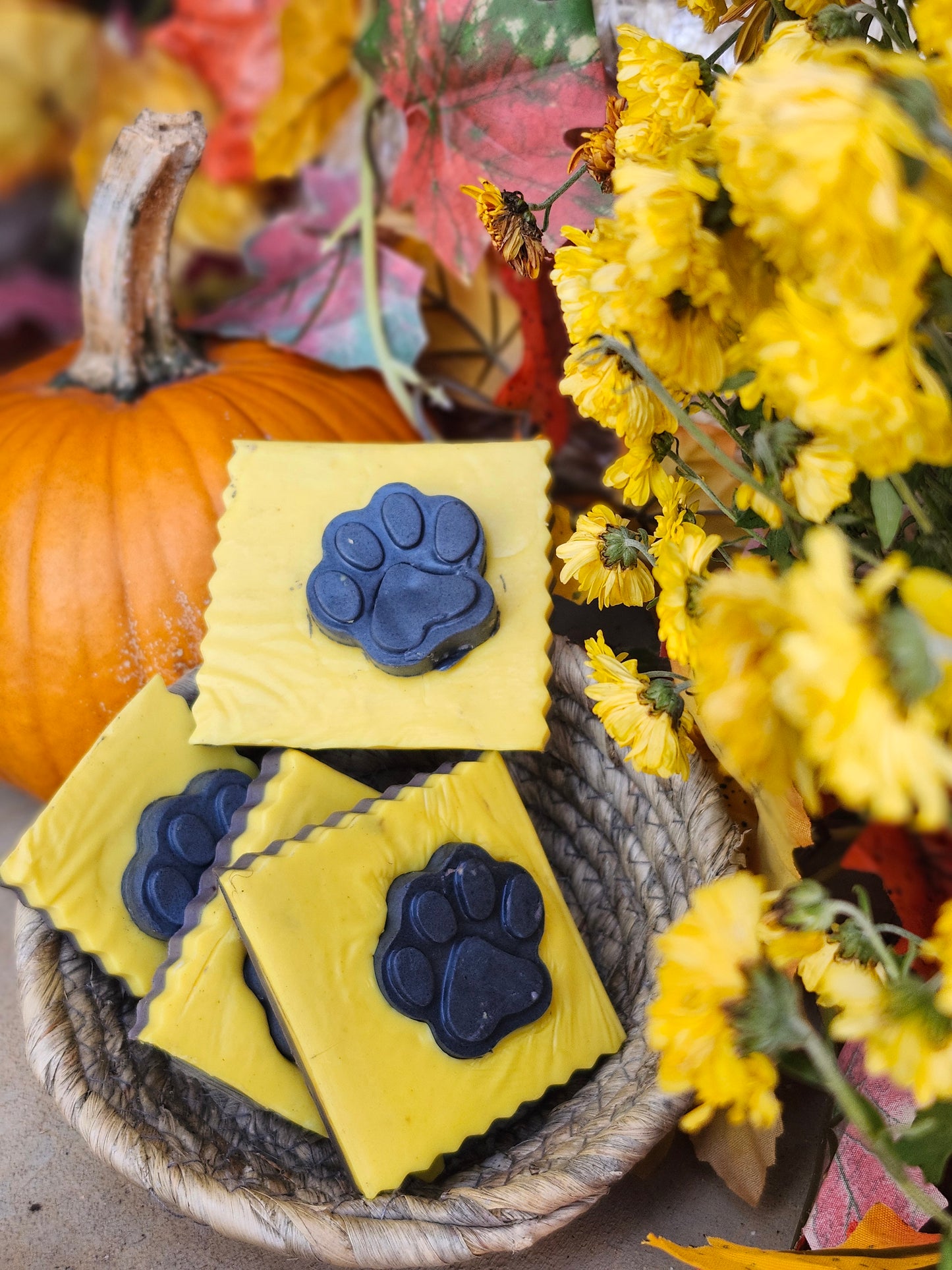 Hocus Pocus Bar Soap I Goats Milk I Halloween I Limited Edition I Viral Soap