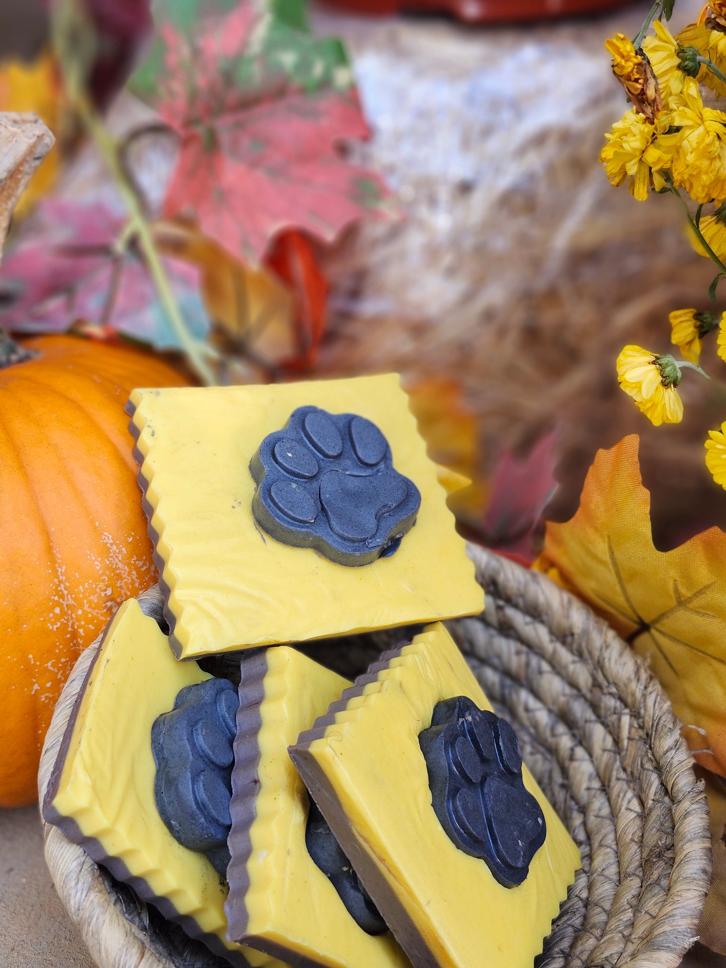Hocus Pocus Bar Soap I Goats Milk I Halloween I Limited Edition I Viral Soap