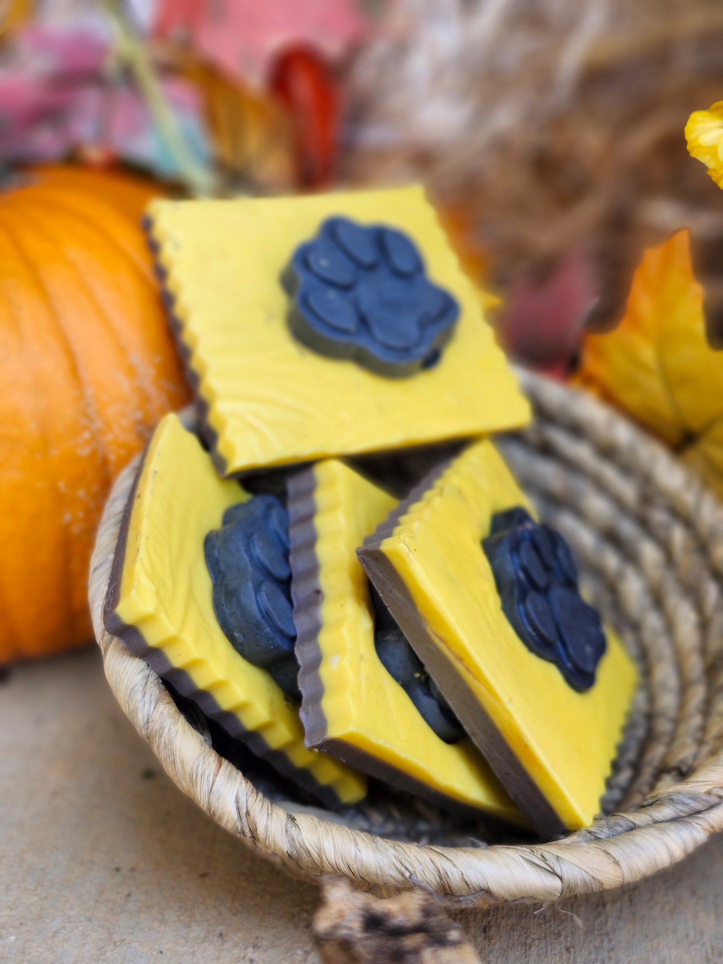 Hocus Pocus Bar Soap I Goats Milk I Halloween I Limited Edition I Viral Soap