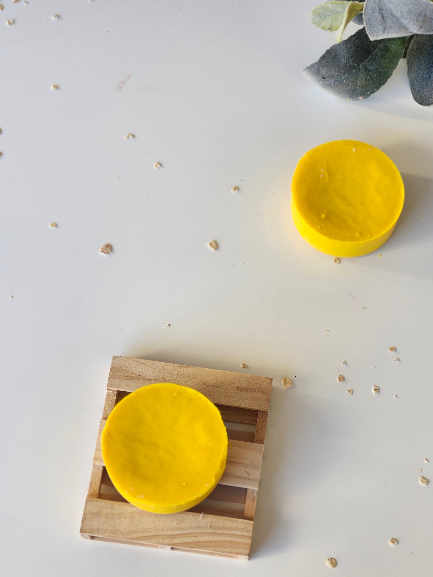 Shampoo Bar I Hair Care