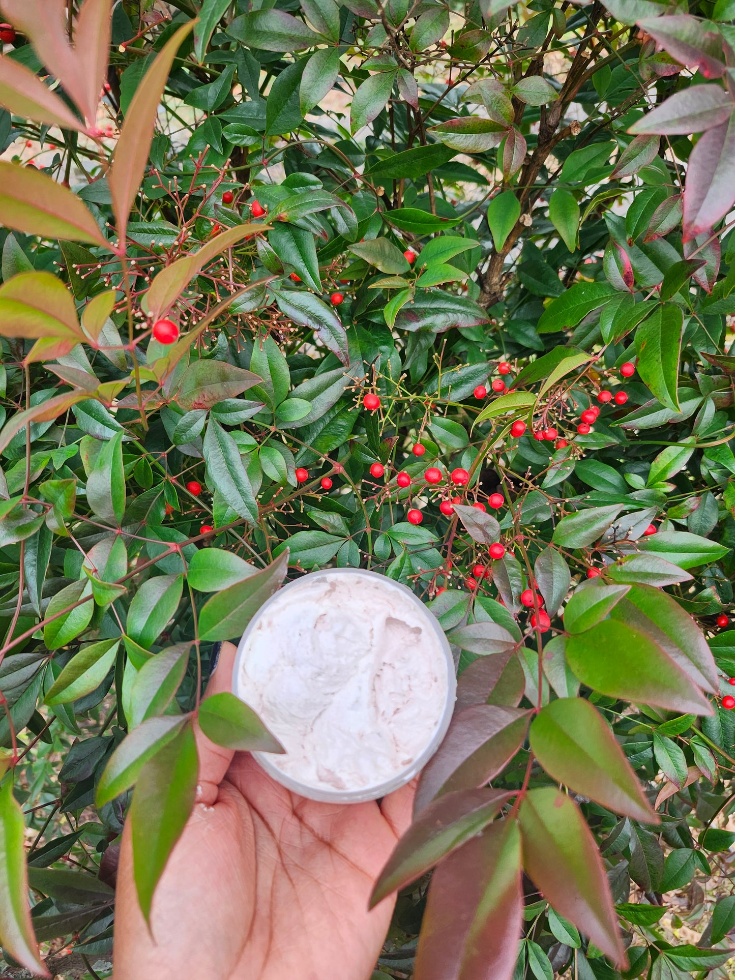 Pink Sea Salt Whipped Sugar Scrub I Shea Butter I