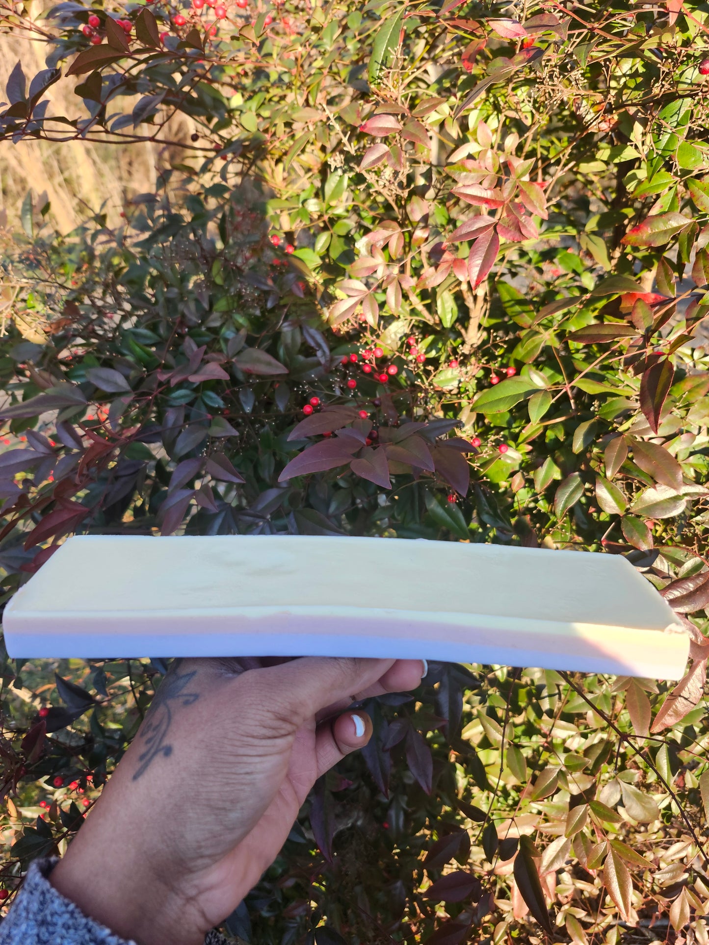 Grapefruit +Sage Bar Soap I Goats Milk I Spring Collection