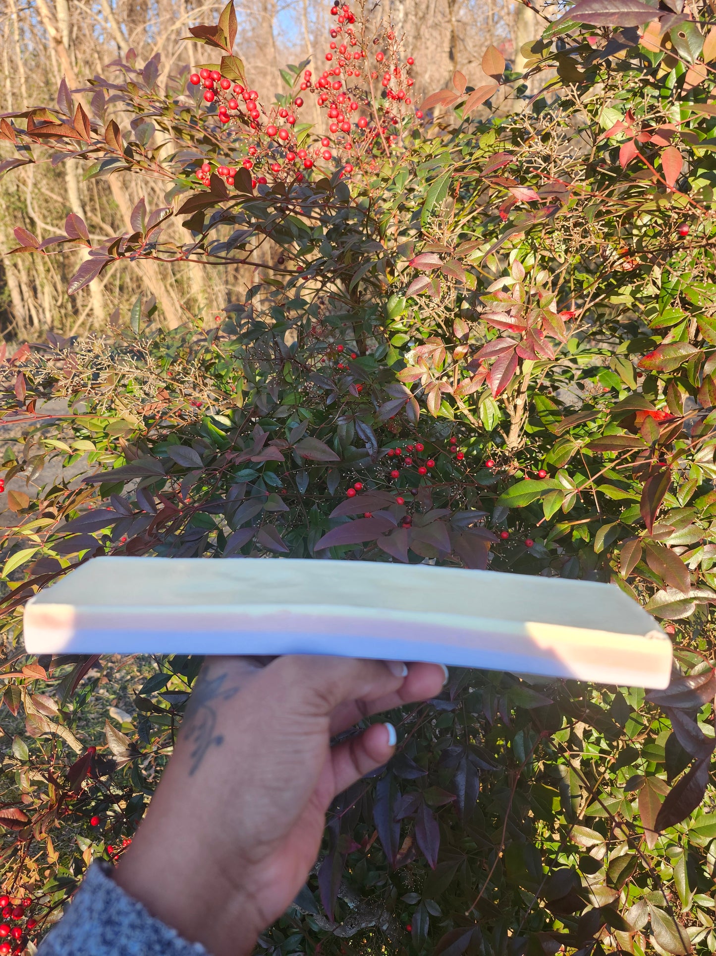 Grapefruit +Sage Bar Soap I Goats Milk I Spring Collection
