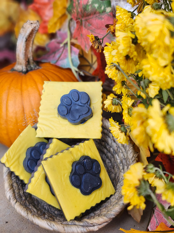 Hocus Pocus Bar Soap I Goats Milk I Halloween I Fall Collection
